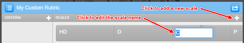  Editing the custom rubric scale names